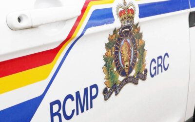 Three vehicles stolen in less than two hours